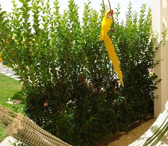 Πανσιόν Quinta Da Rosa Linda 4*